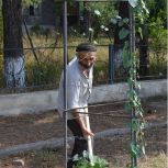 ბოლნისის მუნიციპალიტეტის გამწვანების სამსახურმა მცენარეების ირგვლივ ნიადაგის შემობარვის სამუშაოები განახორციელა