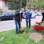 საკრებულოს დეპუტატმა ლევან დავითაშვილმა გამწვანების აქციაში მიიღო მონაწილეობა