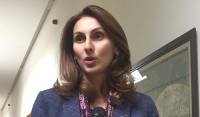 ეკა ლალიაშვილი: "მწვანე ეკონომიკის" კონცეფციის რეალიზება ქვეყანას ჰაერივით ესაჭიროება
