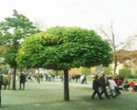 ევროკავშირი „პარკების მსოფლიო დღეს“ საქართველოშიც აღნიშნავს