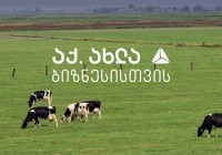 თიბისის მხარდაჭერით ყველის ქარხანა „სანტა“ წარმოებას აფართოებს