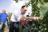 ლევან დავითაშვილი: წლევანდელი რთველიც წარმატებული იქნება