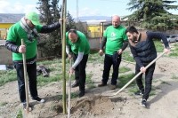 ისნის რაიონის გამგეობამ აქცია „გაამწვანე შენი უბანი“ დაიწყო
