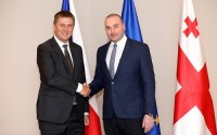 პრემიერ-მინისტრი ჩეხეთის რესპუბლიკის საგარეო საქმეთა მინისტრს შეხვდა