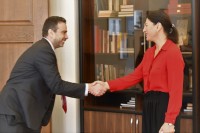 სოფიო ქაცარავა აშშ-ს კონგრესის თანამშრომლებს შეხვდა   