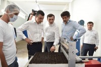 „ქართული ოცნების“ ლიდერები შუახევში თანამედროვე ტექნოლოგიებით აღჭურვილ სანერგე-საჩითილე მეურნეობაში იმყოფებოდნენ