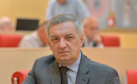 თაბორის მთაზე რეკრეაციული ზონის მოწყობის პროექტს გია ვოლსკი ეხმიანება