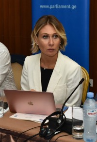 ნინო წილოსანი: ჩვენ მივიღებთ ახალ და კარგად შეჯერებულ შესყიდვების კანონმდებლობას