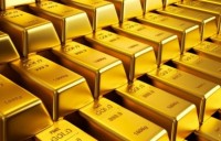 წითელ ხიდზე 130,749.13 ლარის ღირებულების არადეკლარირებული ოქროს ზოდები აღმოაჩინეს