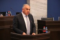 დევნილთა მინისტრის მოადგილე დიასპორისა და კავკასიის საკითხთა კომიტეტის სხდომაზე სიტყვით გამოვიდა