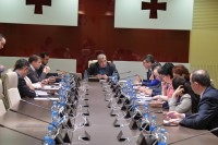 დროებითი საგამოძიებო კომისიის სხდომაზე ხორავას ქუჩის საქმეზე ახსნა-განმარტებისთვის დასაბარებელ პირთა სია და მუშაობის გრაფიკი დაამტკიცეს 