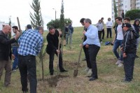 ისნის რაიონში გამწვანების აქცია „მწვანე სივრცე სიცოცხლისთვის“ ჩატარდა