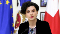 ნათია მეზვრიშვილი: ოპოზიციას აქვს ფუფუნება იყოს არათანმიმდევრული, ჩვენ კი გვაკისრია პასუხისმგებლობა, დავიცვათ ჩვენი მოქალაქეების სიცოცხლე, ისევე როგორც გადავარჩინოთ ეკონომიკა