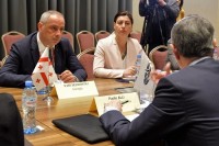 როუზ-როსის სემინარის ფარგლებში საქართველო-ნატოს საპარლამენტთაშორისო საბჭოს შეხვედრა გაიმართა