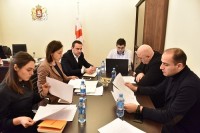დეზინფორმაციის და პროპაგანდის საკითხების შესახებ თემატური მოკვლევის ჯგუფის პირველი სამუშაო შეხვედრა გაიმართა