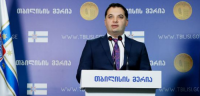ილია ელოშვილი: გენერალურ გეგმაში გამქრალია უკვე არსებული კვარტალური გამწვანებები