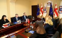 თურქეთში მყოფი ქართველი პრობაციონერების სამშობლოში გადმოყვანასთან დაკავშირებით მხარეებს შორის სამუშაო ჯგუფი ჩამოყალიბდება