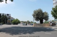 რესპუბლიკის მოედანთან ტრანსპორტის მოძრაობის სქემა იცვლება