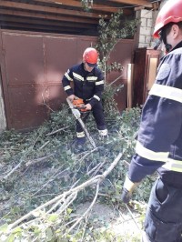 თბილისში ძლიერმა ქარმა პრობლემები შექმნა - საგანგებო სიტუაციების მართვის სამსახურში 270 შეტყობინება შევიდა თბილისში ძლიერმა ქარმა პრობლემები შექმნა - საგანგებო სიტუაციების მართვის სამსახურში 270 შეტყობინება შევიდა