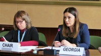 ჟენევაში საქართველომ ჰაერის ხარისხის დაცვის კუთხით ნაკისრი ვალდებულებების შესრულების ანგარიში წარადგინა