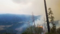  ბორჯომში ხანძრის ლოკალიზებაში შპს „მთის კურორტების განვითარების კომპანიის“ ბაკურიანის მთის მართვის დეპარტამენტიც მონაწილეობს 