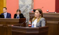ნინო თანდილაშვილი: ახალი კოდექსი ტყის ეკოსისტემის და მართვის გაუმჯობესებას უზრუნველყოფს