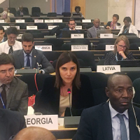 ნინო ჯავახაძე UNHCR-ის აღმასრულებელი კომიტეტის 69-ე სესიაზე საქართველოს სახელით მოხსენებით წარსდგა