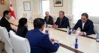 საქართველოს მთავრობა ვიზალიბერალიზაციასთან დაკავშრებით გამოწვევების გამო ზომების გამკაცრებას გეგმავს 
