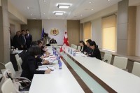  გიორგი გახარია თურქეთის ეკონომიკის მინისტრს შეხვდა