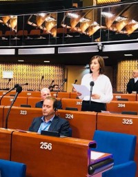 ნინო გოგუაძემ ევროსაბჭოს საპარლამენტო ასამბლეაზე ადამიანის უფლებათა დამცველი ორგანიზაციების როლზე და მნიშვნელობაზე ისაუბრა
