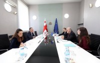 მიხეილ ბატიაშვილი საფრანგეთის ელჩს შეხვდა