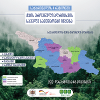 ტყის ეროვნული აღრიცხვის სამუშაოები, ქვეყნის ოთხ რეგიონში მაისის მეორე ნახევრიდან დაიწყება