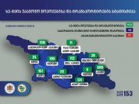 6 თვეში უკანონო ტყითსარგებლობის 1 532 ფაქტი გამოვლინდა