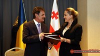  თავდაცვის მინისტრის პირველი მოადგილე რუმინეთის სახელმწიფო მდივანს შეხვდა