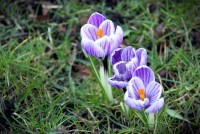 დღეს ქალთა დღე აღინიშნება