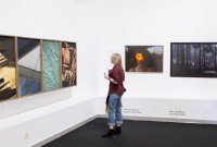 თიბისი სტატუსის მხარდაჭერით Tbilisi Art Fair ჩატარდა