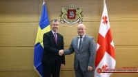 ლევან იზორია შვედეთის ახალ ელჩს შეხვდა