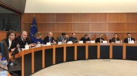 საქართველოს პარლამენტი ევროპარლამენტთან ერთად საპარლამენტო ზედამხედველობის გაძლიერებაზე მუშაობს 