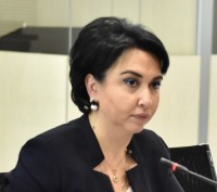 ეკა ბესელია მოსამართლეთა საჭირო რაოდენობის კვლევის პრეზენტაციას დაესწრო