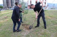 ლევან დავითაშვილისა და ირაკლი აბუსერიძის ინიციატივით ვაზისუბანში გამწვანების აქცია მოეწყო