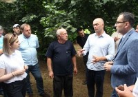 აჭარაში თხილის მოსავლის აღების პროცესი გრძელდება