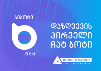 სამოგზაურო დაზღვევა ჩატიდან გაუსვლელად ბიბოტის დახმარებით 