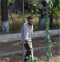 ბოლნისის მუნიციპალიტეტის გამწვანების სამსახურმა მცენარეების ირგვლივ ნიადაგის შემობარვის სამუშაოები განახორციელა