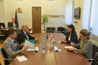 სოფიო ქაცარავა საფრანგეთის ელჩს შეხვდა