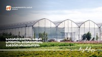 საქართველოს ბანკის მხარდაჭერით აბაშაში სათბურები აშენდა