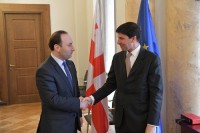 ანრი ოხანაშვილი ავსტრიის საგანგებო და სრულუფლებიან ელჩს შეხვდა