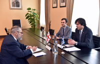 საქართველოს პარლამენტის თავმჯდომარე საბერძნეთის და ყახაზეთის ელჩებს შეხვდა