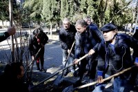 ჩუღურეთის რაიონში 500 ხე-მცენარე დაირგვება 