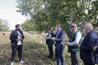 სოფლის მეურნეობის სამინისტრო: სახელმწიფოს მხარდაჭერით გაშენებული ბაღები 10,000-მდე ჰექტარს შეადგენს 