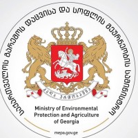 ლევან დავითაშვილის მოადგილე ჭუბერში, სტიქიის ზონაში გაემგზავრა